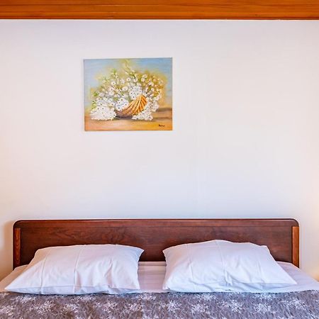 Apartment Sea And Mountain With Pool Novigrad  Buitenkant foto